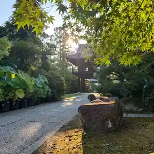 伊勢の国 四天王寺(三重県)(2025年09月01日(月) 12時30分56秒投稿)