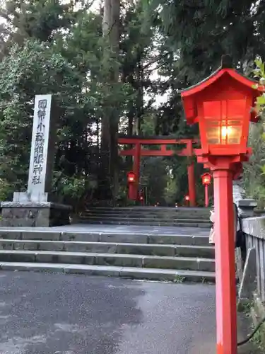 箱根神社の鳥居