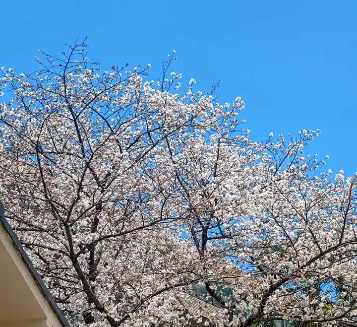 聖輪寺(東京都)