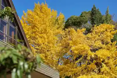 善光寺別院願王寺の自然