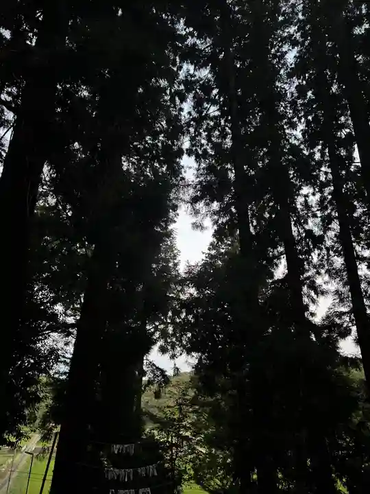 大宮温泉神社(栃木県)