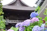 高幡不動尊 金剛寺の本殿・本堂