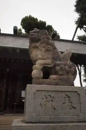 所澤神明社の狛犬