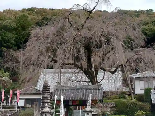 林陽寺のその他建物