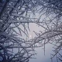 壽徳寺 じゅとくじの自然