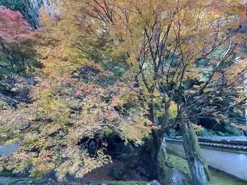 善能寺(京都府)