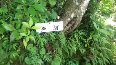 宝満寺の自然