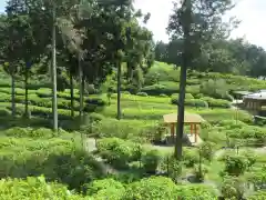 三室戸寺(京都府)