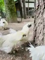 身曾岐神社(山梨県)