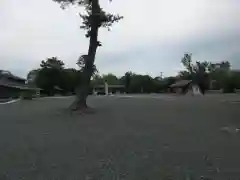 焼津神社(静岡県)