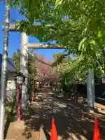 橿原神社の{uncategorized: "未分類", other: "その他", undefined: "問題あり", building: "その他建物", grave: "お墓", sacred_gate: "鳥居", guardian: "狛犬", statue: "像", buddha: "仏像", history: "歴史", nature: "自然", garden: "庭園", animal: "動物", pagoda: "塔", temizu: "手水舎", mountain_gate: "山門・神門", sanctuary: "本殿・本堂", subordinate: "末社・摂社", art: "芸術", scenery: "景色", jizo: "地蔵", ema: "絵馬", goshuin: "御朱印", omikuji: "おみくじ", items: "授与品その他", amulet: "お守り", goshuincho: "御朱印帳", eats: "食事", festival: "お祭り", votive_dance: "神楽", shichigosan: "七五三参", wedding: "結婚式", experience: "体験その他", initially: "初詣", around: "周辺", anti_infection: "感染症対策"}