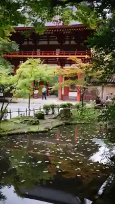 室生寺(奈良県)