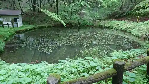 越知神社の庭園