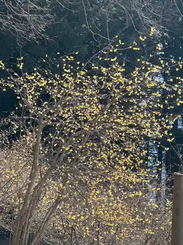 宝登山神社奥宮(埼玉県)