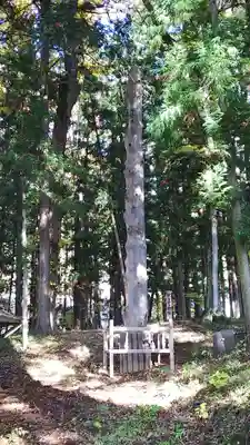 諏訪大社下社秋宮(長野県)