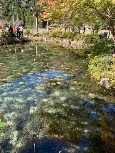 根道神社の庭園