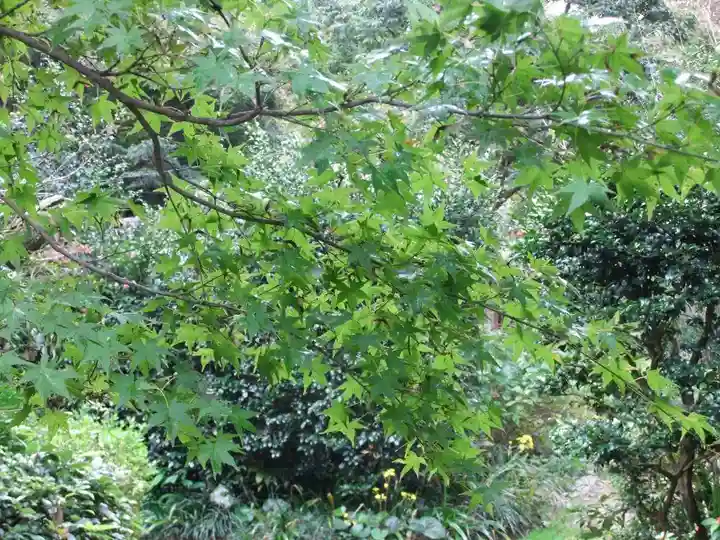 妙湛寺(山口県)