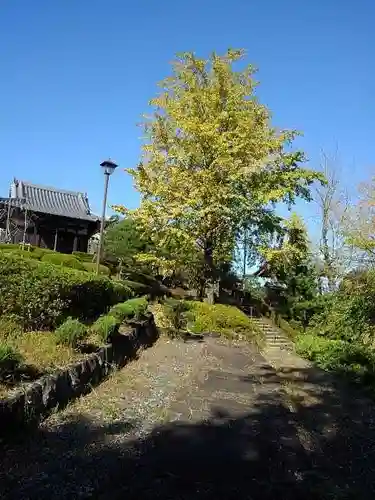 狭山山不動寺の庭園