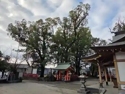 一之宮神社(鹿児島県)