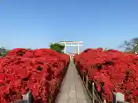 長岡天満宮の庭園