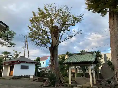 加茂神社(神奈川県)