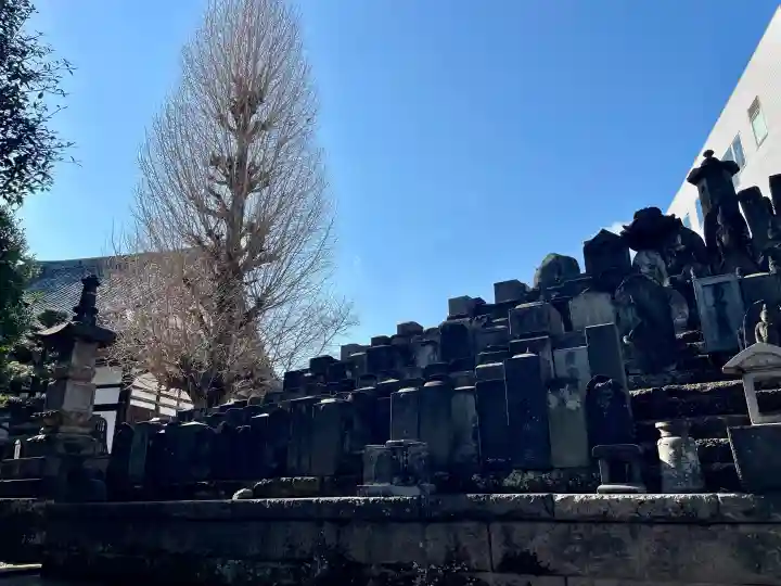 瑞円寺の{uncategorized: "未分類", other: "その他", undefined: "問題あり", building: "その他建物", grave: "お墓", sacred_gate: "鳥居", guardian: "狛犬", statue: "像", buddha: "仏像", history: "歴史", nature: "自然", garden: "庭園", animal: "動物", pagoda: "塔", temizu: "手水舎", mountain_gate: "山門・神門", sanctuary: "本殿・本堂", subordinate: "末社・摂社", art: "芸術", scenery: "景色", jizo: "地蔵", ema: "絵馬", goshuin: "御朱印", omikuji: "おみくじ", items: "授与品その他", amulet: "お守り", goshuincho: "御朱印帳", eats: "食事", festival: "お祭り", votive_dance: "神楽", shichigosan: "七五三参", wedding: "結婚式", experience: "体験その他", initially: "初詣", around: "周辺", anti_infection: "感染症対策"}