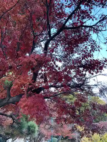 東漸寺(千葉県)