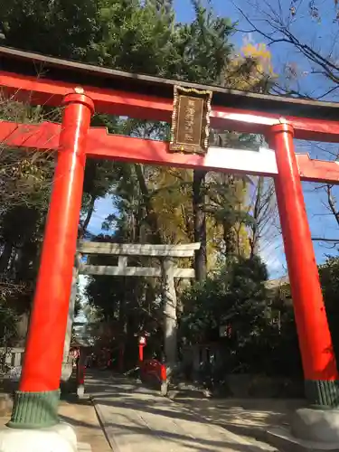 馬橋稲荷神社の鳥居