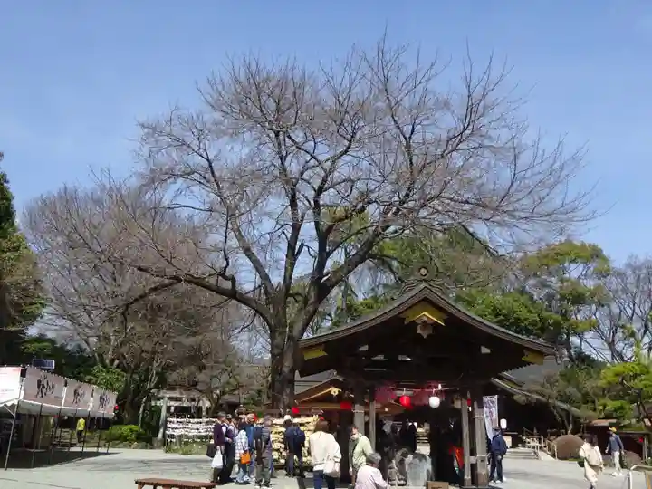 出雲大社相模分祠の自然