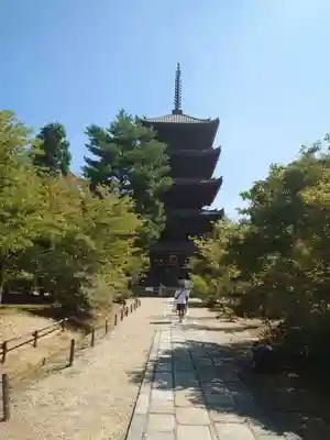 仁和寺の塔