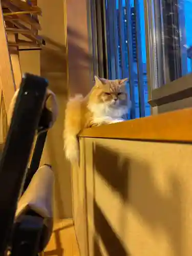 當光寺(東京都)