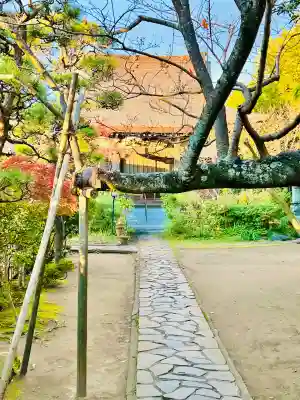 教恩寺(神奈川県)