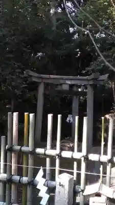 木嶋坐天照御魂神社(京都府)