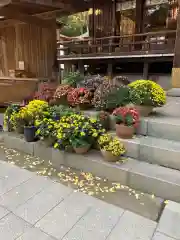 平塚八幡宮(神奈川県)