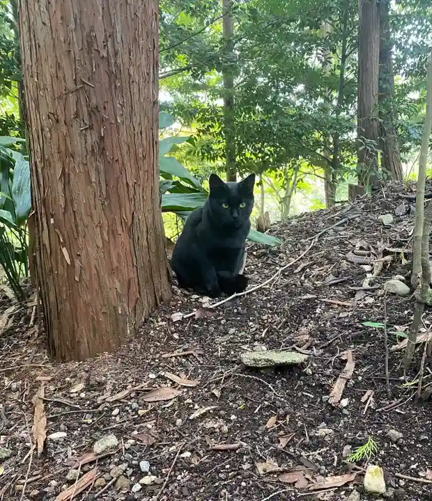 玉野御嶽神社(愛知県)
