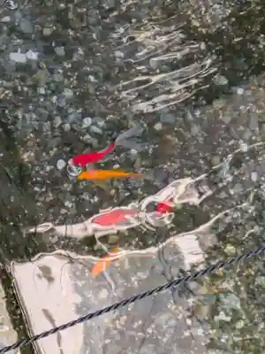 妙清寺(東京都)