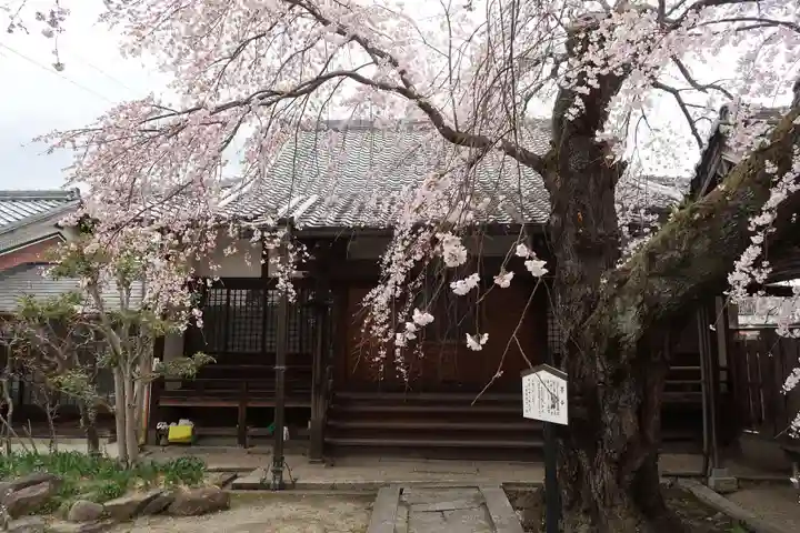 心念寺(三重県)