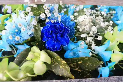 豊景神社の手水舎