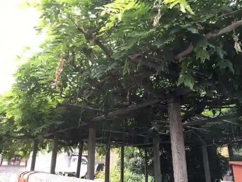 春日神社の自然