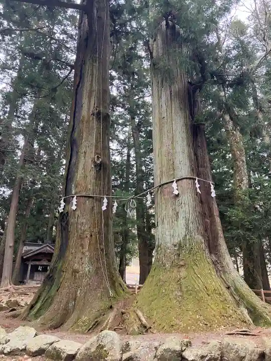 河口浅間神社(山梨県)