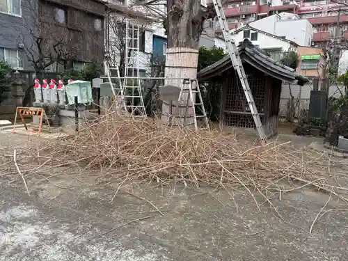 福王山  慈眼寺(東京都)