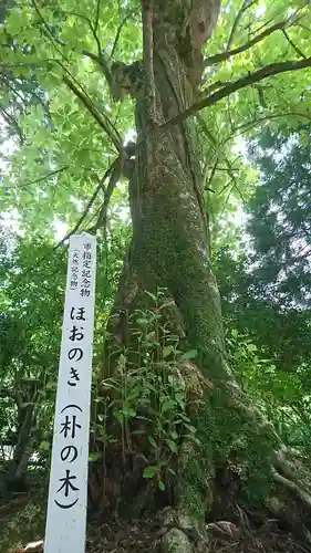 国造神社の庭園