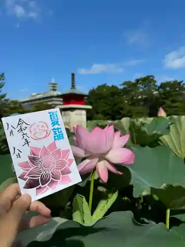 白山神社の御朱印