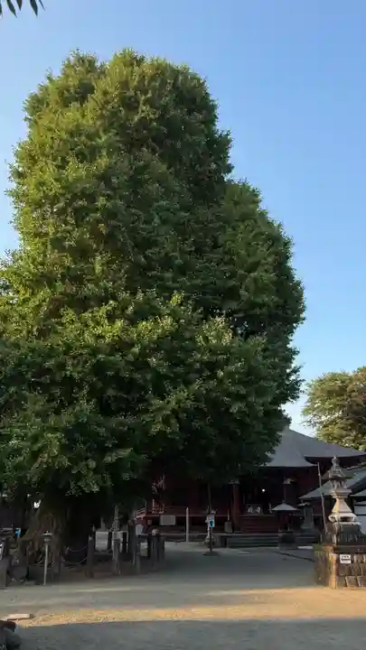 勝福寺(神奈川県)