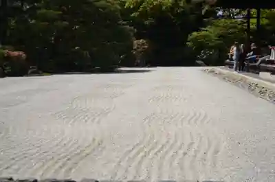 建仁寺（建仁禅寺）(京都府)