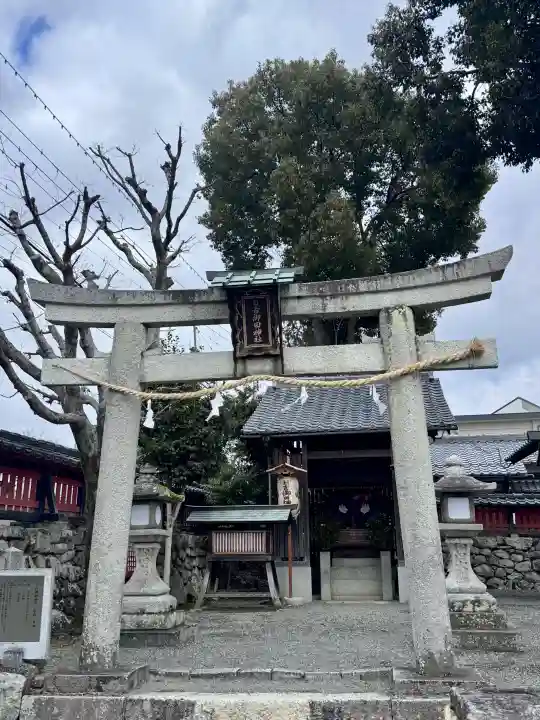 日吉御田神社の{uncategorized: "未分類", other: "その他", undefined: "問題あり", building: "その他建物", grave: "お墓", sacred_gate: "鳥居", guardian: "狛犬", statue: "像", buddha: "仏像", history: "歴史", nature: "自然", garden: "庭園", animal: "動物", pagoda: "塔", temizu: "手水舎", mountain_gate: "山門・神門", sanctuary: "本殿・本堂", subordinate: "末社・摂社", art: "芸術", scenery: "景色", jizo: "地蔵", ema: "絵馬", goshuin: "御朱印", omikuji: "おみくじ", items: "授与品その他", amulet: "お守り", goshuincho: "御朱印帳", eats: "食事", festival: "お祭り", votive_dance: "神楽", shichigosan: "七五三参", wedding: "結婚式", experience: "体験その他", initially: "初詣", around: "周辺", anti_infection: "感染症対策"}