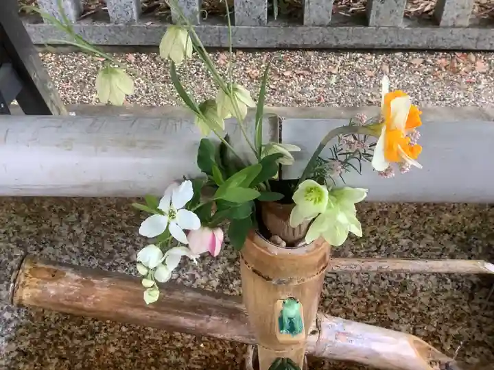 富部神社の自然