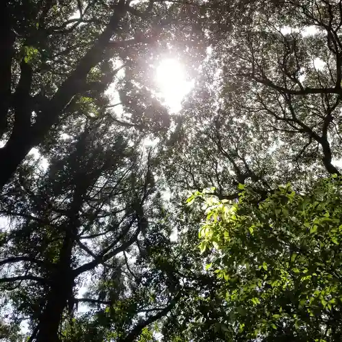 沼尾神社の自然