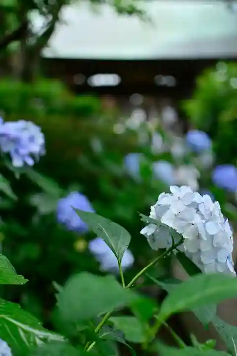 妙楽寺(神奈川県)