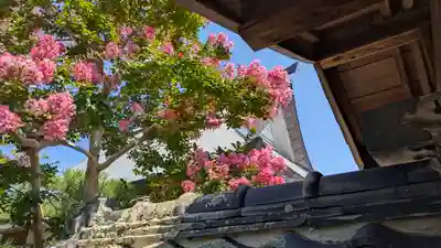 萬福寺(万福寺)(京都府)